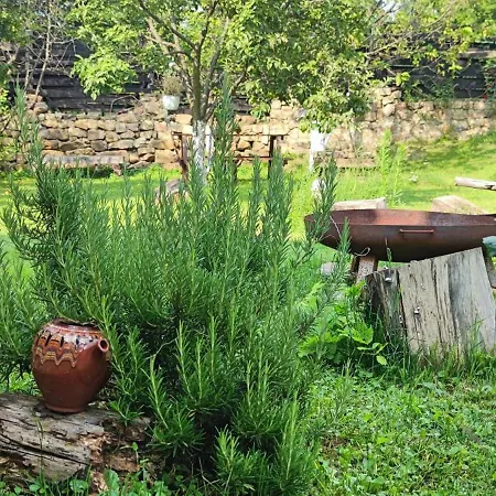 Pensiune Zellin House Of Inspiration