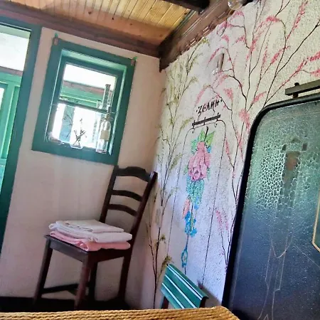 Zellin House Of Inspiration Pensiune